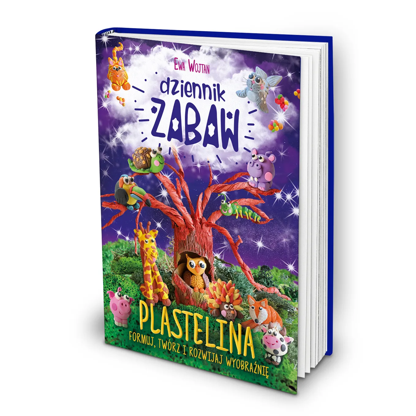 Dziennik Zabaw Plastelina